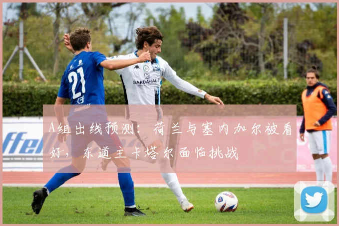 A组出线预测：荷兰与塞内加尔被看好，东道主卡塔尔面临挑战