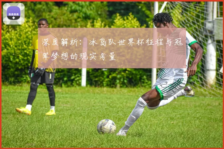 深度解析：冰岛队世界杯征程与冠军梦想的现实考量